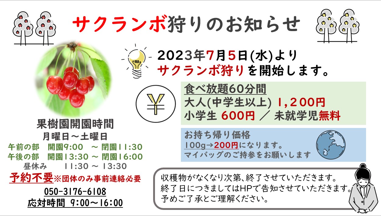 2023年のさくらんぼ狩り情報🍒 - 八紘学園