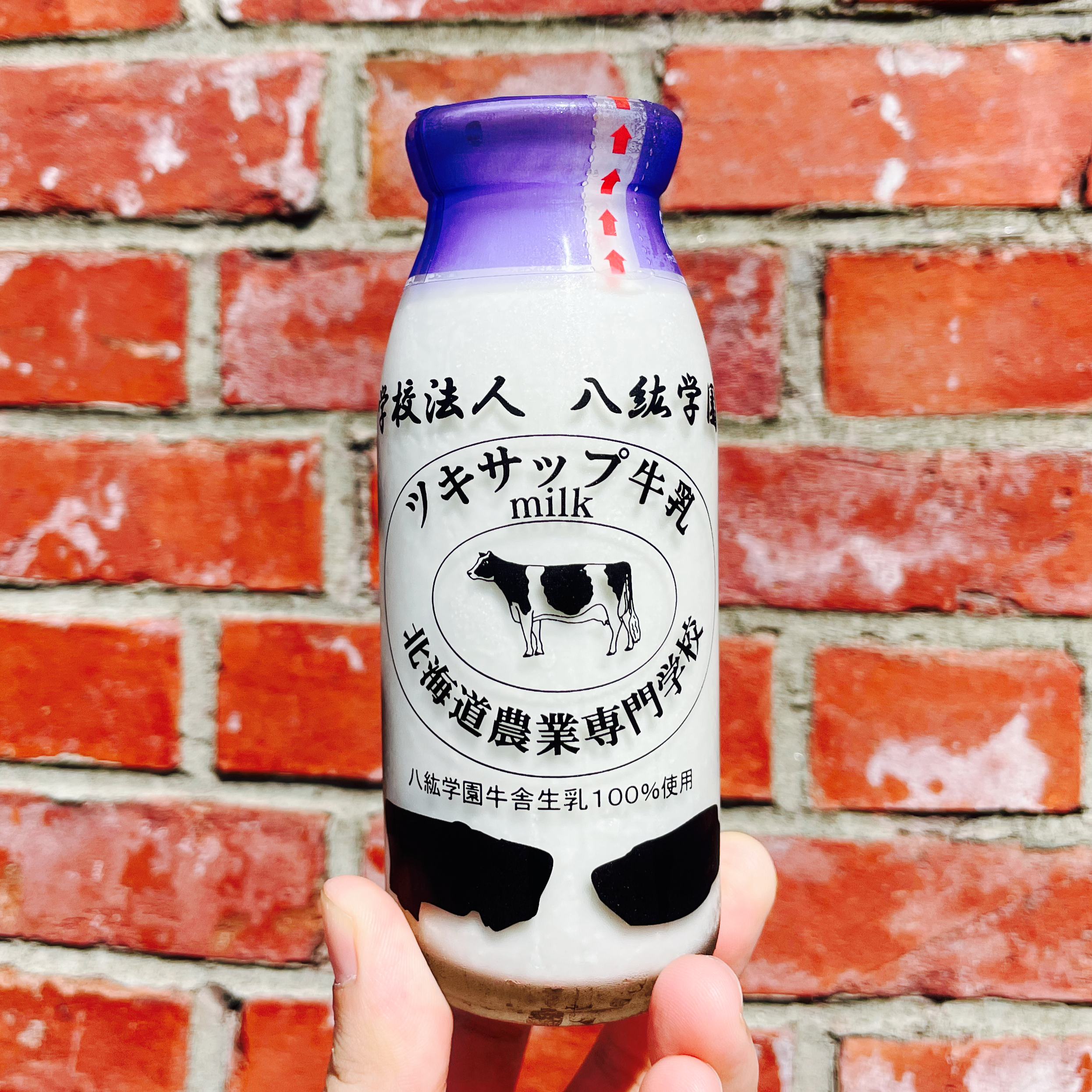 2025年夏季営業開始のお知らせ - 八紘学園